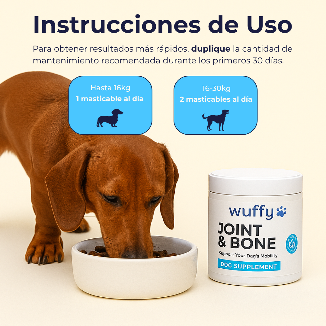 #1 Suplemento Para Caderas y Articulaciones de Perros
