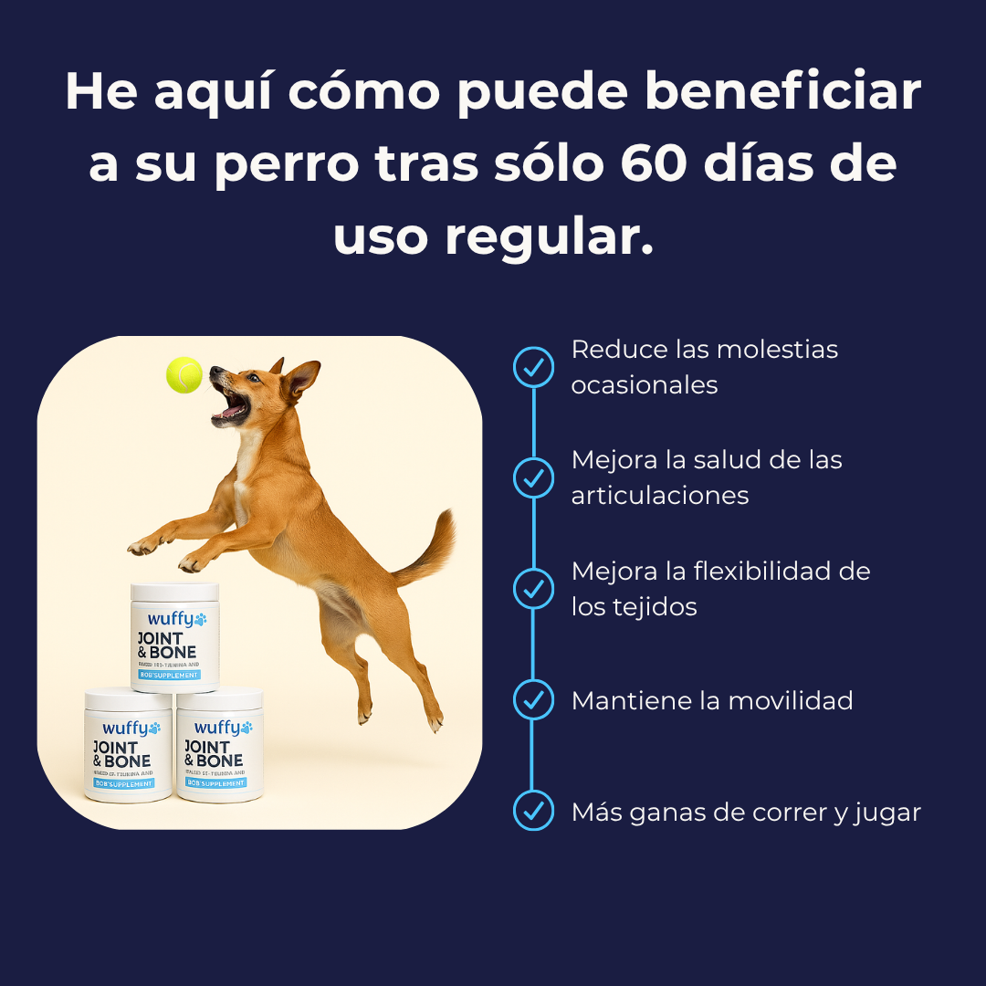 #1 Suplemento Para Caderas y Articulaciones de Perros