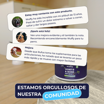 #1 Suplemento Para Caderas y Articulaciones de Perros