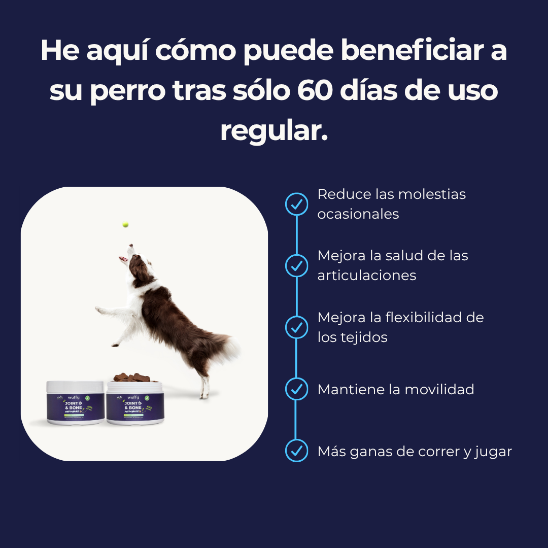 #1 Suplemento Para Caderas y Articulaciones de Perros