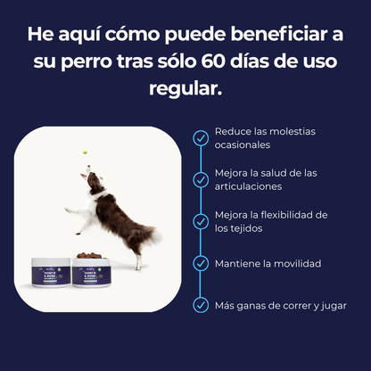 #1 Suplemento Para Caderas y Articulaciones de Perros