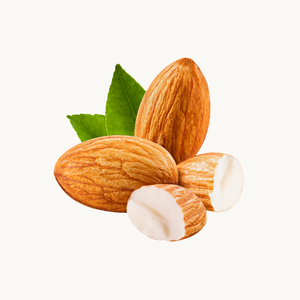 Tocoferol (Vitamina E)