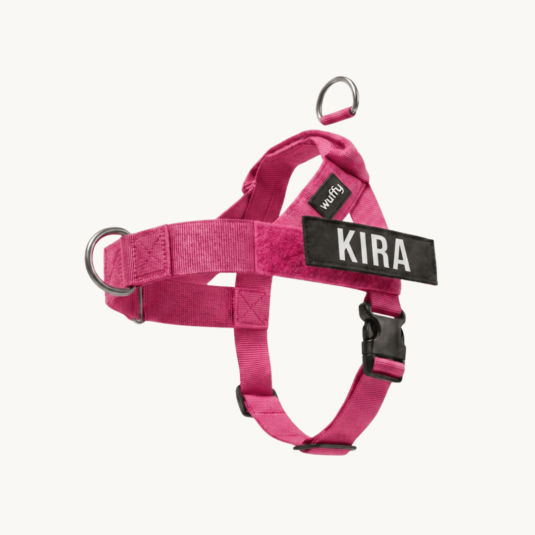 Wuffy Walk® Arnés Anti - Tirones - Wuffy Labs
