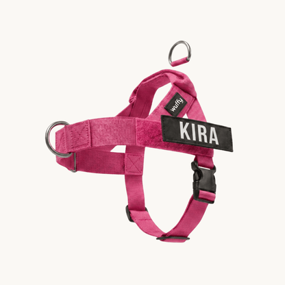 Wuffy Walk® Arnés Anti - Tirones - Wuffy Labs