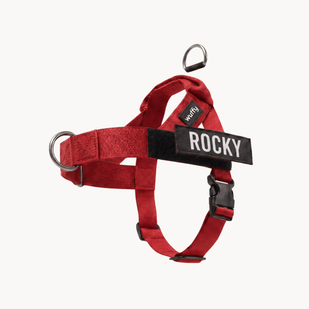 Wuffy Walk® Arnés Anti - Tirones - Wuffy Labs