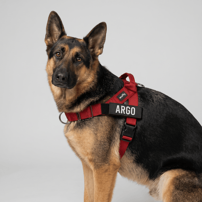 Wuffy Walk® Arnés Anti - Tirones - Wuffy Labs