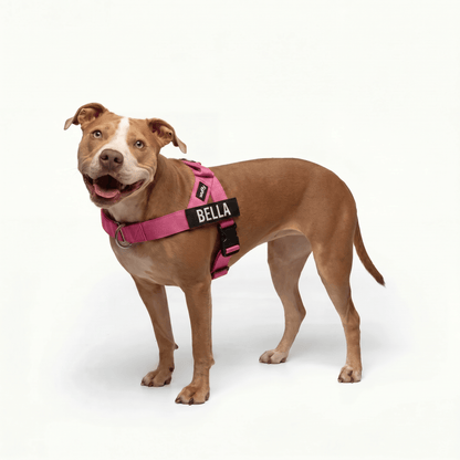 Wuffy Walk® Arnés Anti - Tirones - Wuffy Labs