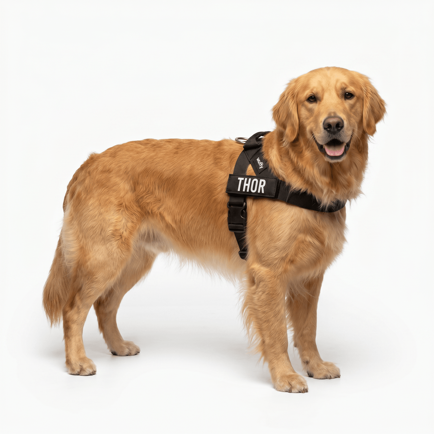 Wuffy Walk® Arnés Anti - Tirones - Wuffy Labs