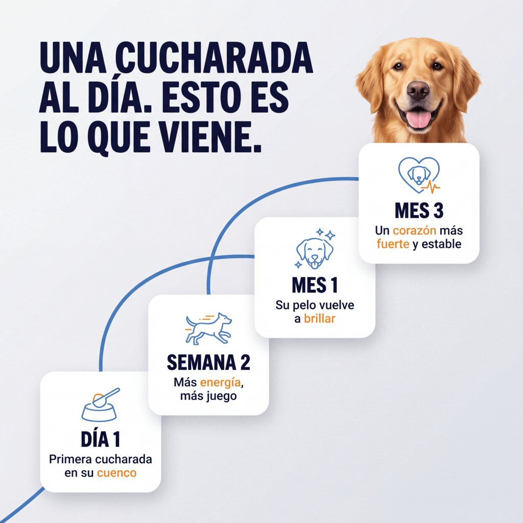 Wuffy Taurina® Suplemento de Taurina para Perros – Apoyo Cardíaco - Wuffy Labs