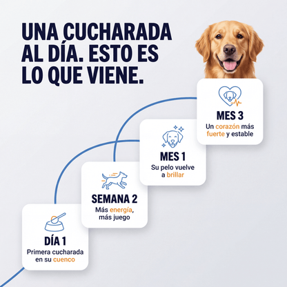 Wuffy Taurina® Suplemento de Taurina para Perros – Apoyo Cardíaco - Wuffy Labs