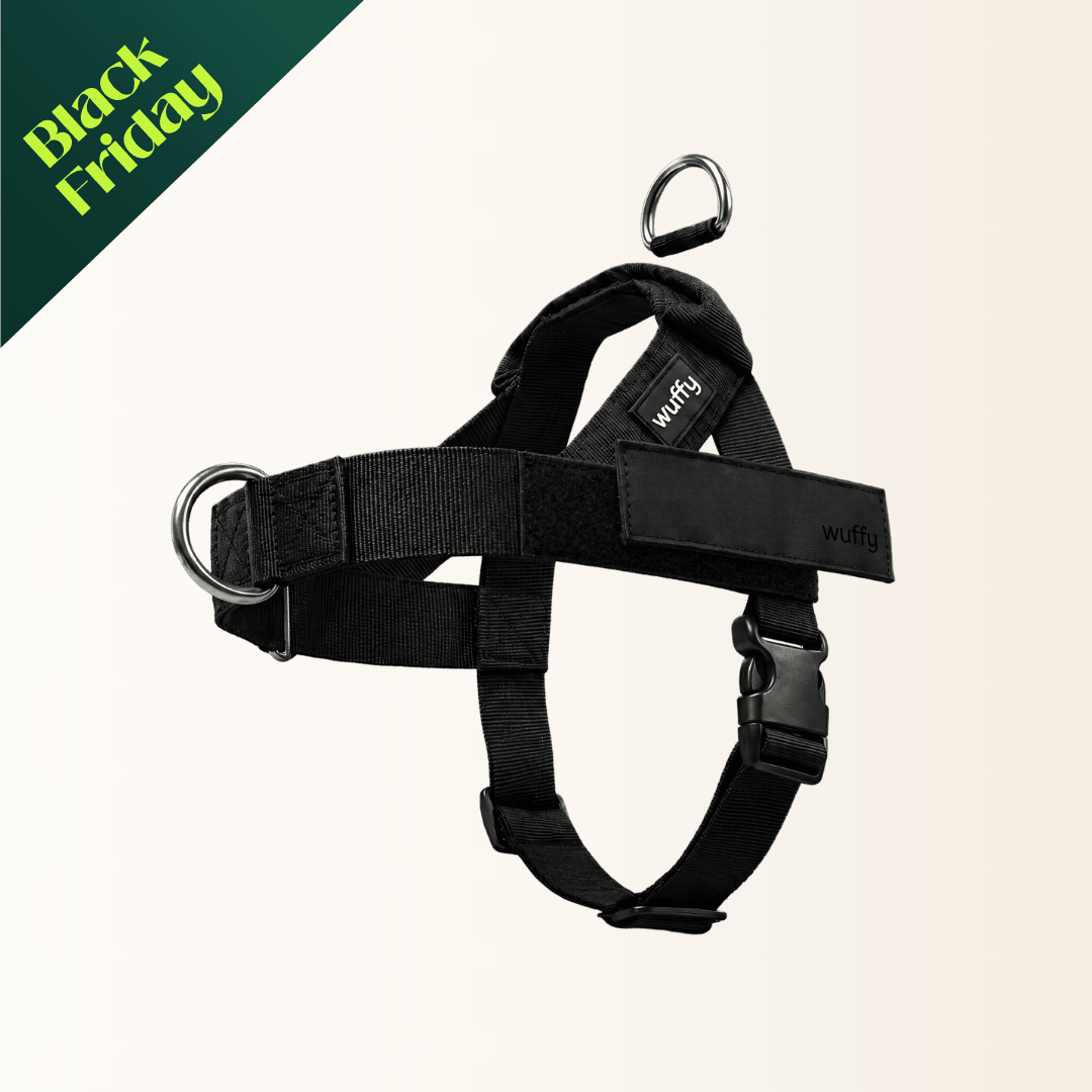 Wuffy Walk® Arnés Anti-Tirones - Wuffy Labs